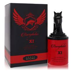 Armaf Bucephalus X EDP for Men