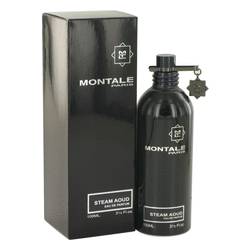Montale Steam Aoud EDP for Women 
