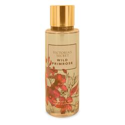 Victoria's Secret Warm & Cozy Sun Daze Body Mist for Women